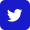Twitter share icon